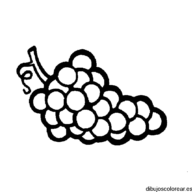 Dibujo de racimo de uvas