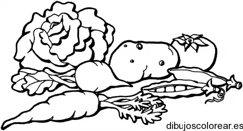 Dibujo de lechugas y patatas