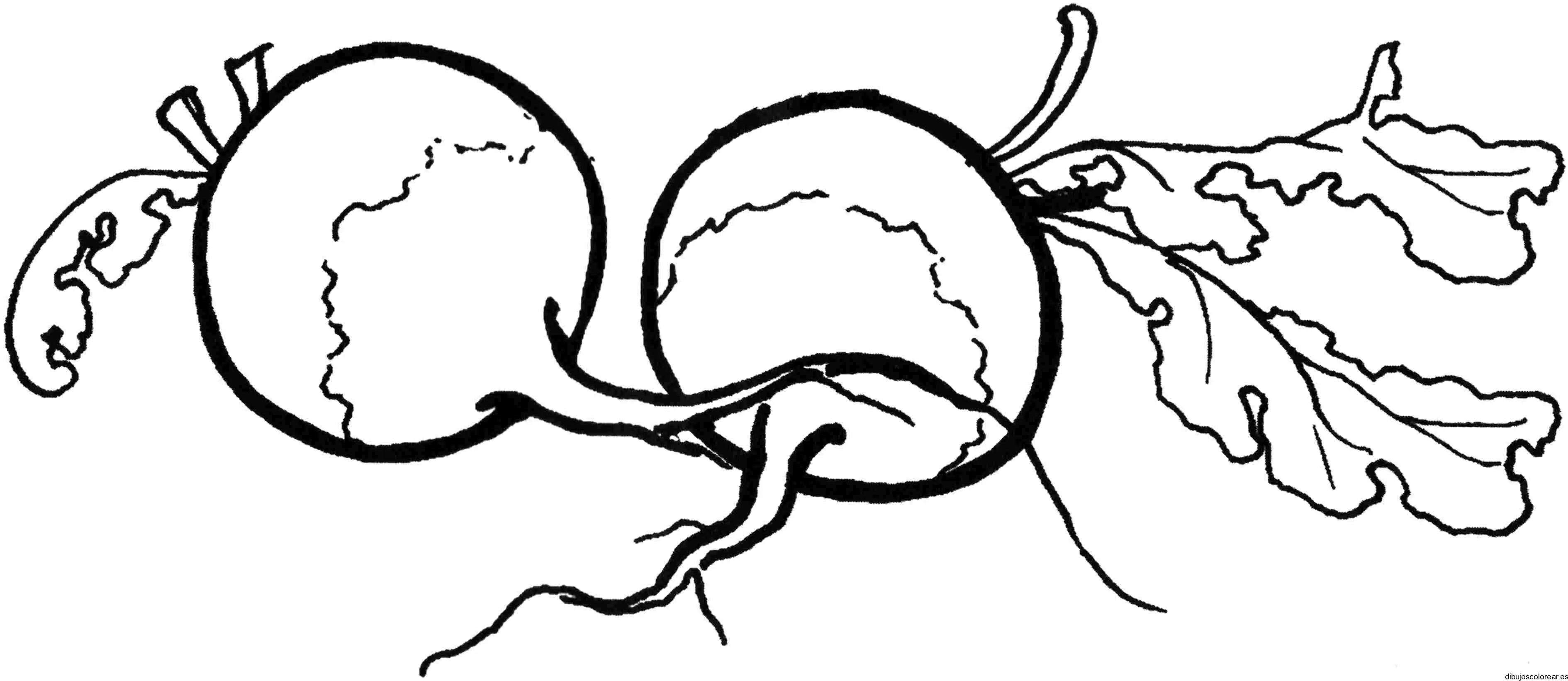 Dibujo de un par de vegetales 
