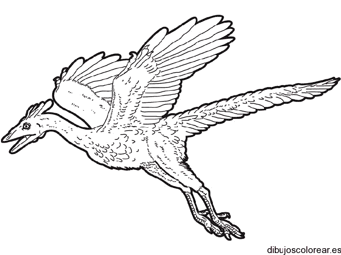 Dibujo de un terodáctilo volando 