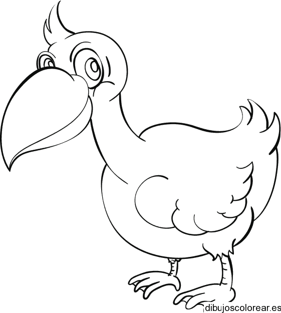 Dibujo del pájaro dodo 