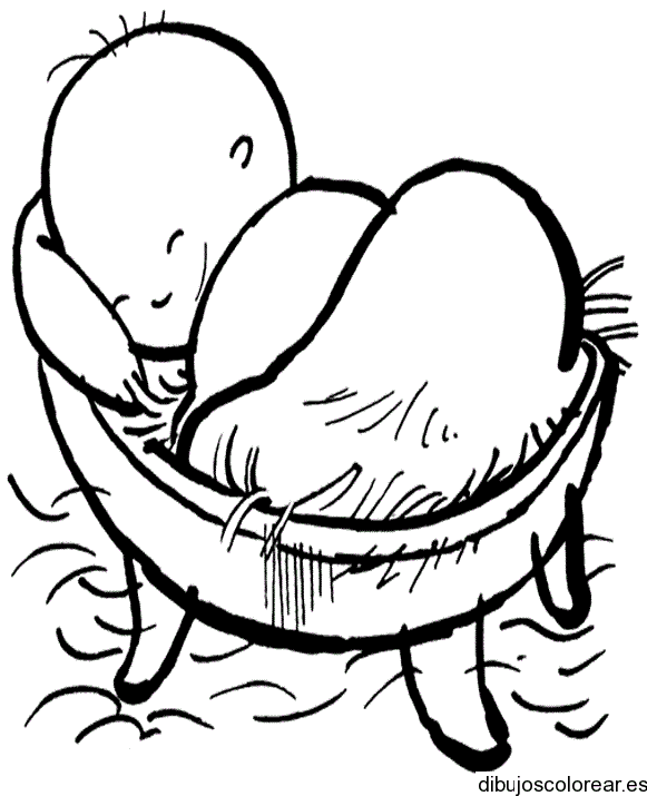 Dibujo de pequeños bichos