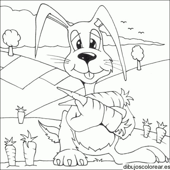 Dibujo de un conejo y una zanahoria  en la granja 