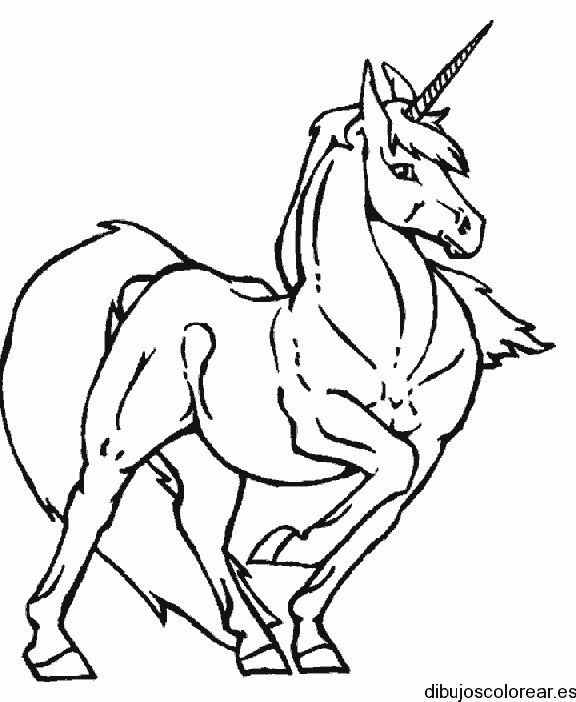 Dibujo de un bello unicornio