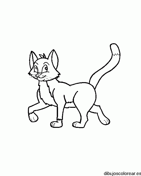 Dibujo de un gato posando 