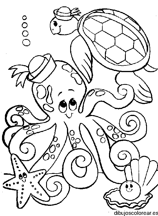 Pulpo