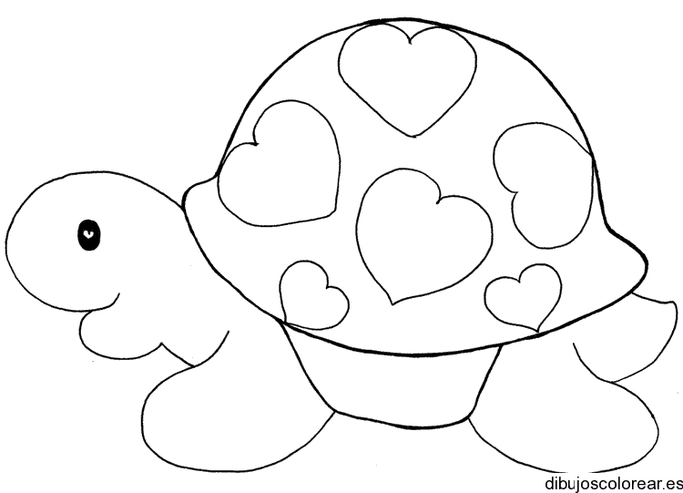tortuga