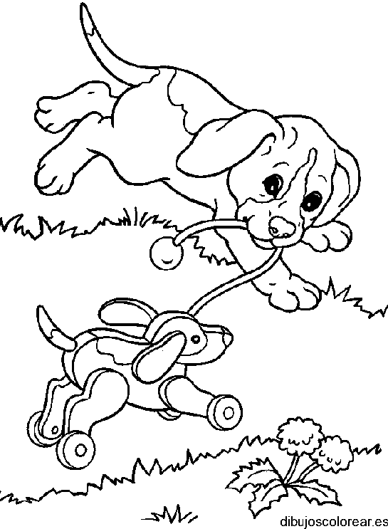 Perrito juega