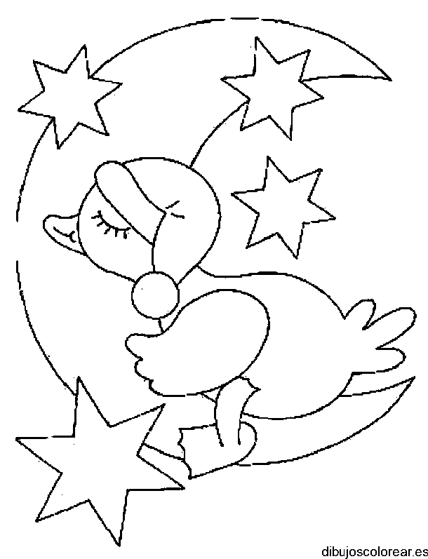 Pato en la luna