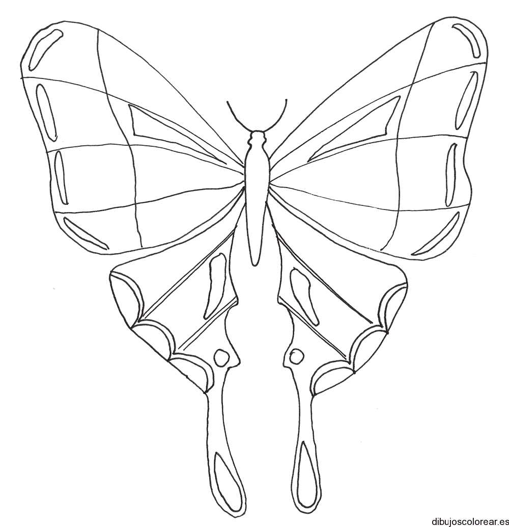 Mariposa monarca