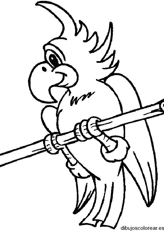 Dibujo de un loro en una ramita