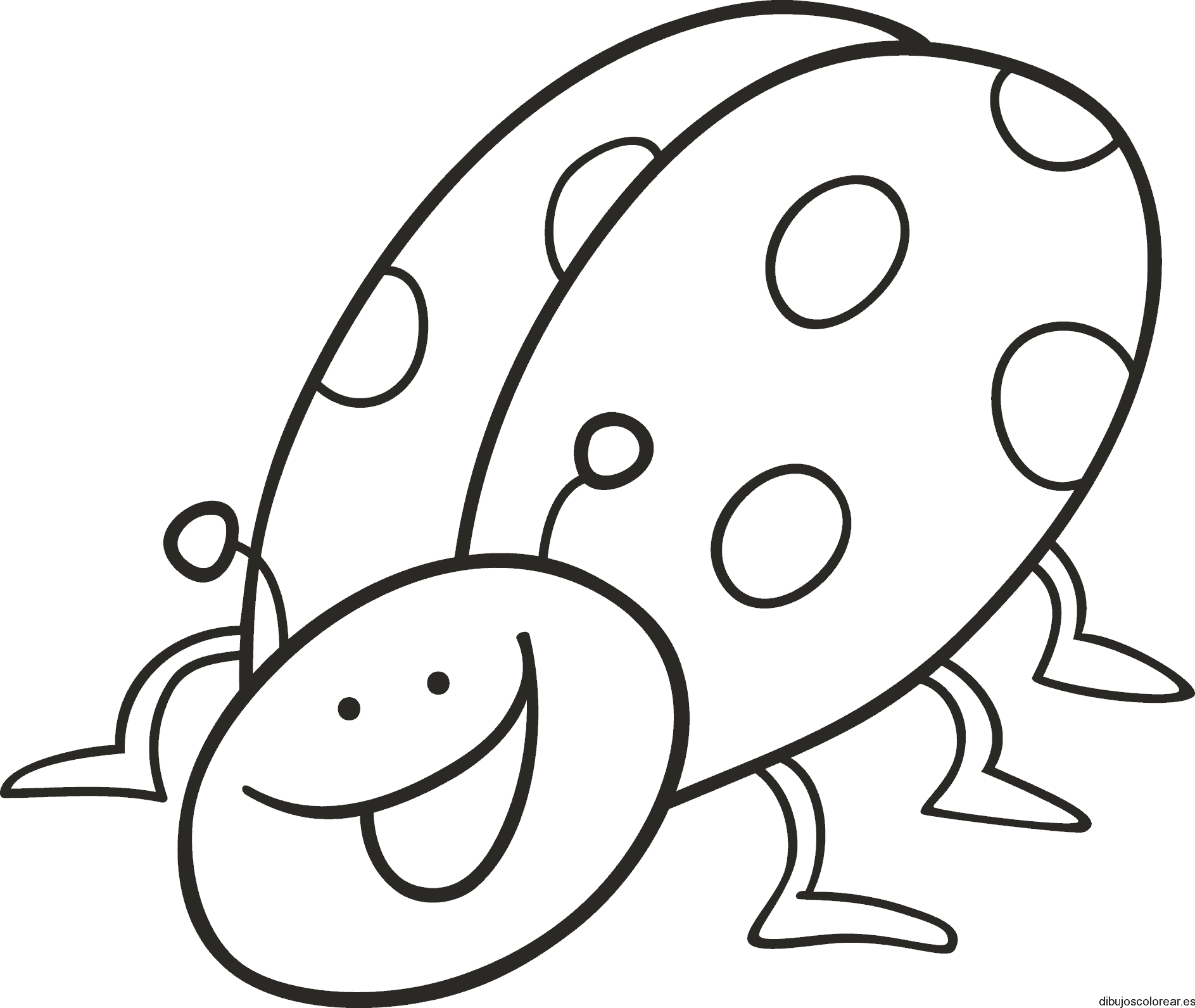 Dibujo de una tórtola 