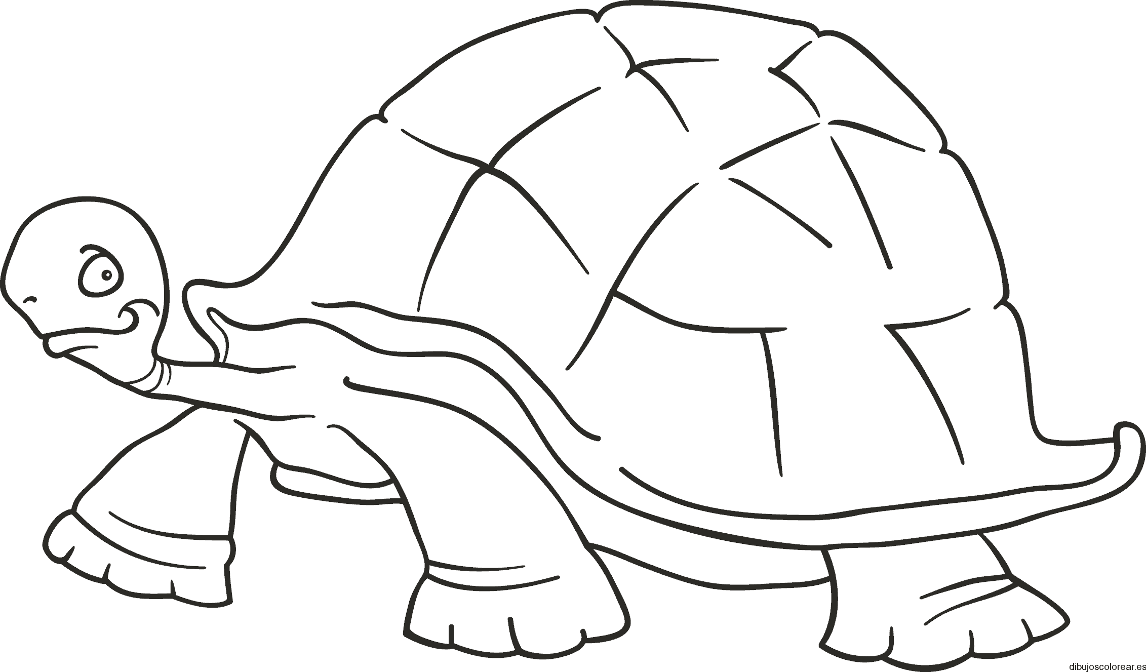 Dibujo de una tortuga paseando