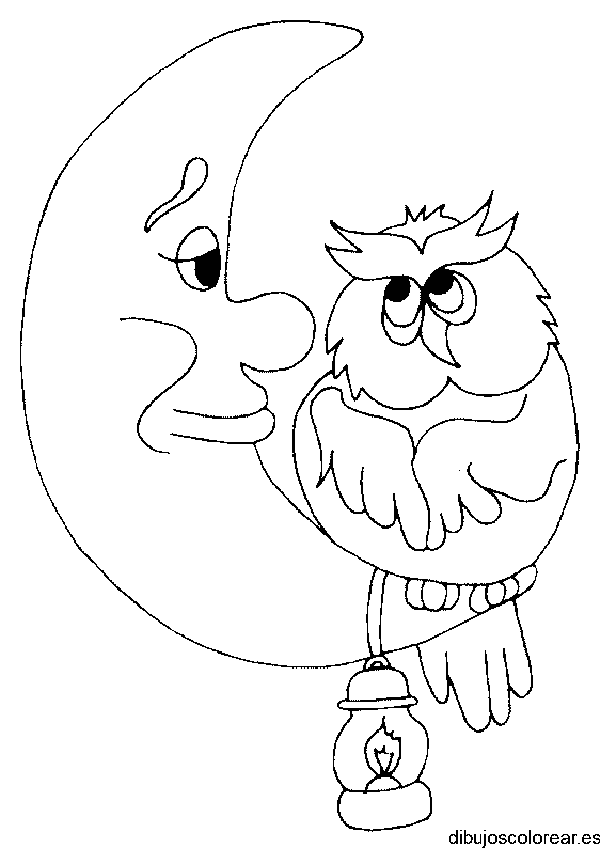 Buho en la luna