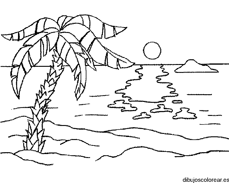 Dibujo de una palmera y el sol