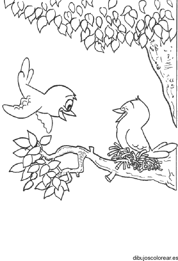 Dibujo de dos aves en su nido 