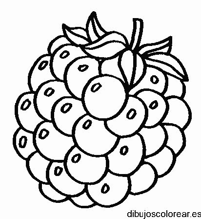 Dibujo de ramo de uvas