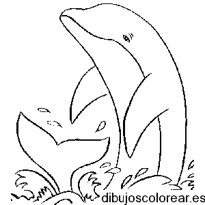 Dibujo de un delfín salpicando agua