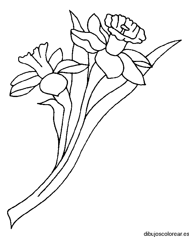 Dibujo de ramo con dos claves