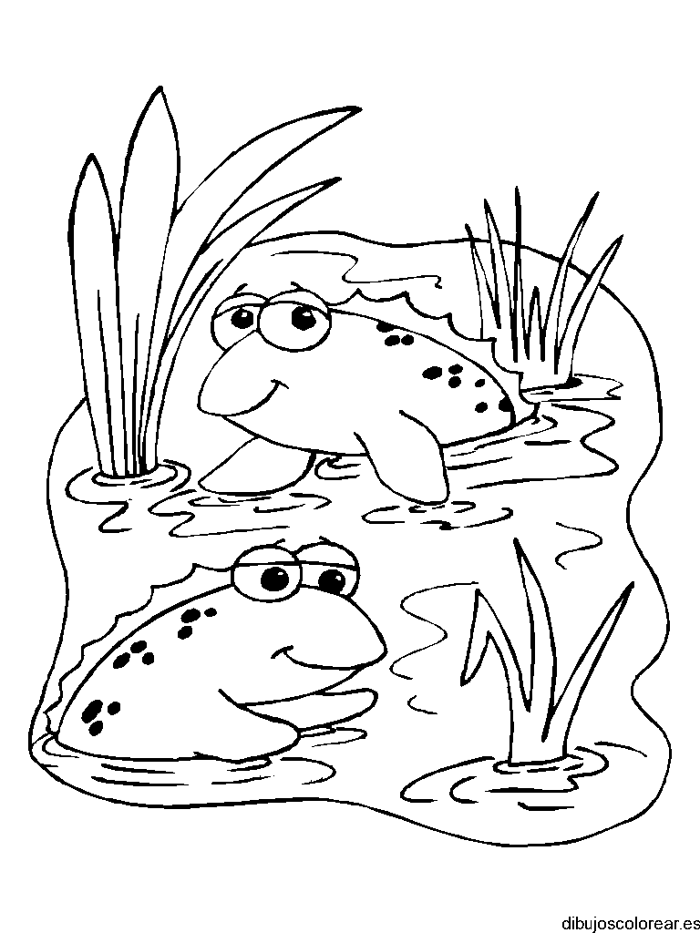 Dibujo de dos ranas en un charco