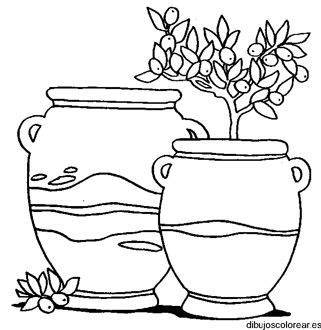 Dibujo de dos jarrones con plantas
