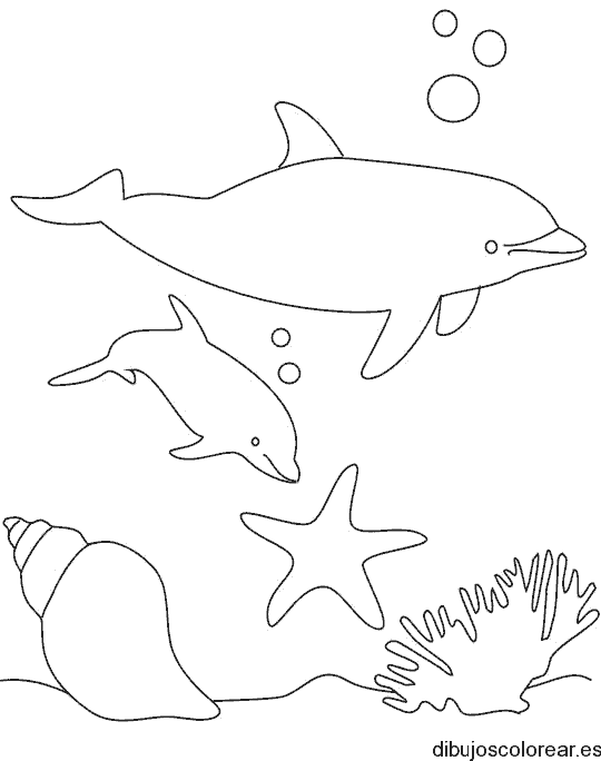Dibujo de delfines en el fondo del mar