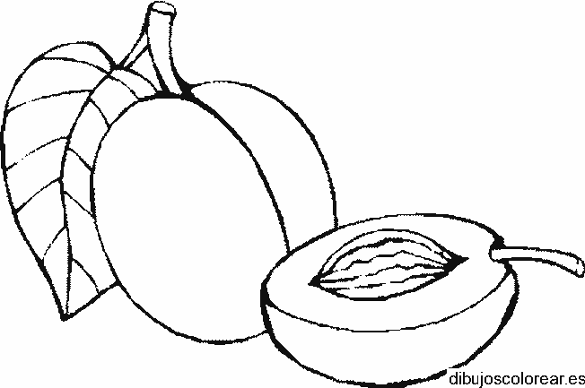 Dibujo de un durazno