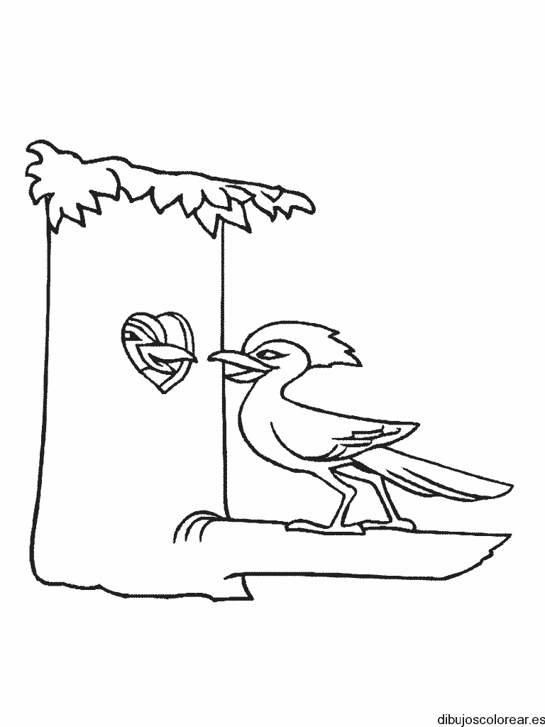 Dibujo de un pájaro carpintero