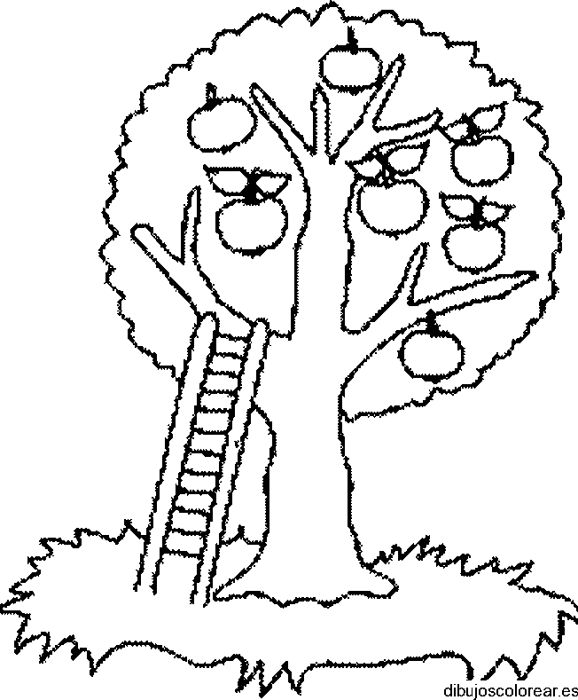 Dibujo de un manzano