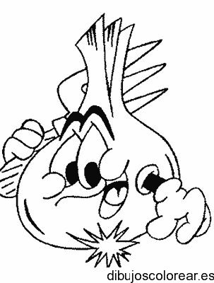 Dibujo de una cebolleta
