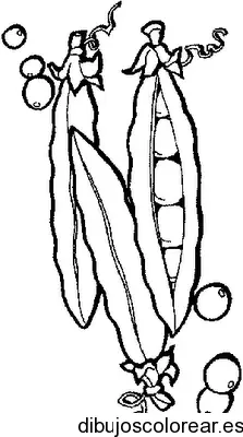 Dibujo de arverjas