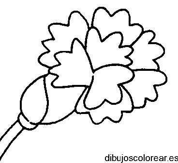 Dibujo de un clavel inclinado