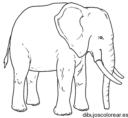 Dibujo de un elefante cansado