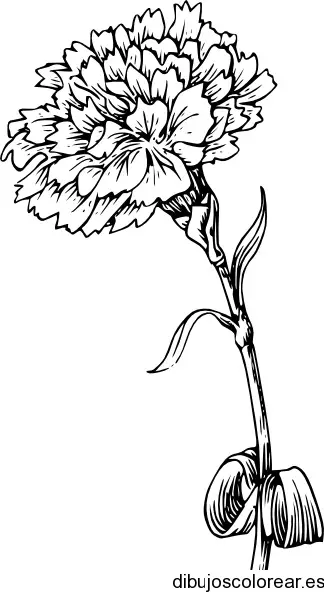 Dibujo de un clavel frondoso
