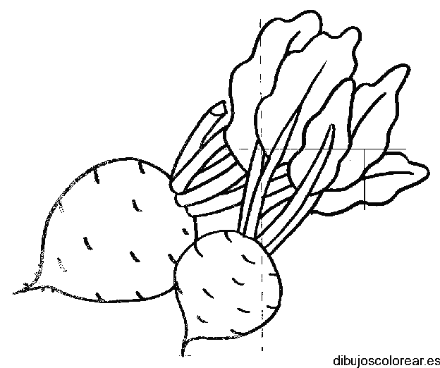 Dibujo de remolachas