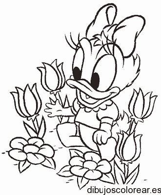 Dibujo de Daisy bebé en el jardín