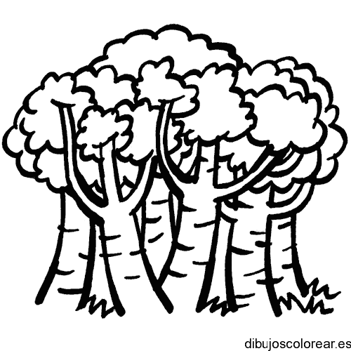 Dibujos de un pequeño bosque