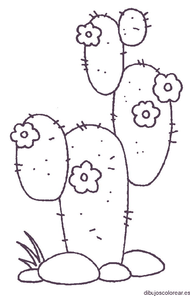 Dibujo de un cactus con flores
