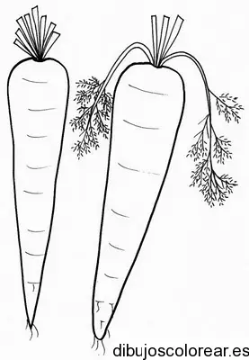 Dibujo de dos zanahorias