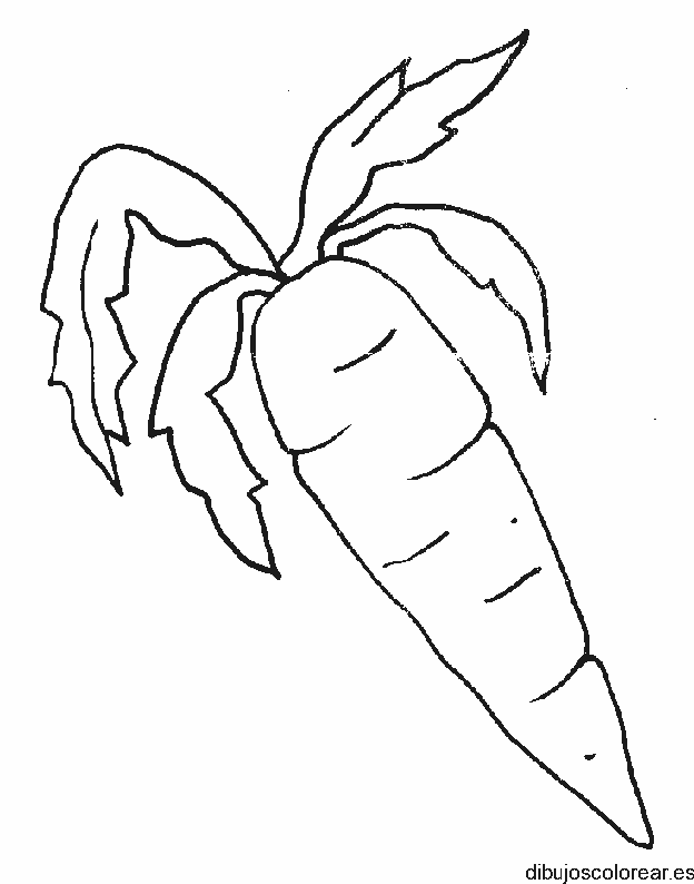 Dibujo de una zanahoria