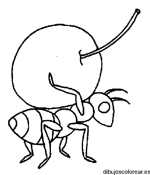 Dibujo de una hormiga y una guinda