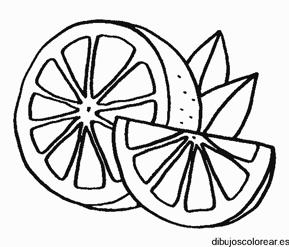 Dibujo de una naranja y gajos
