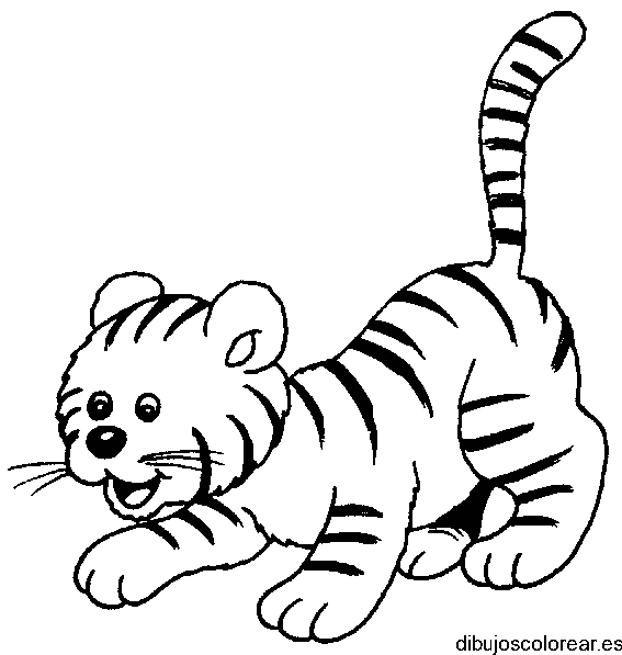 Dibujo de un tigrillo