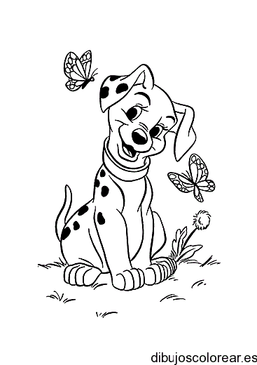 Dibujo de un dálmata y una mariposa