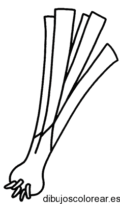 Dibujo de una cebolla