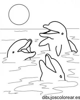 Dibujo de tres delfines jugando
