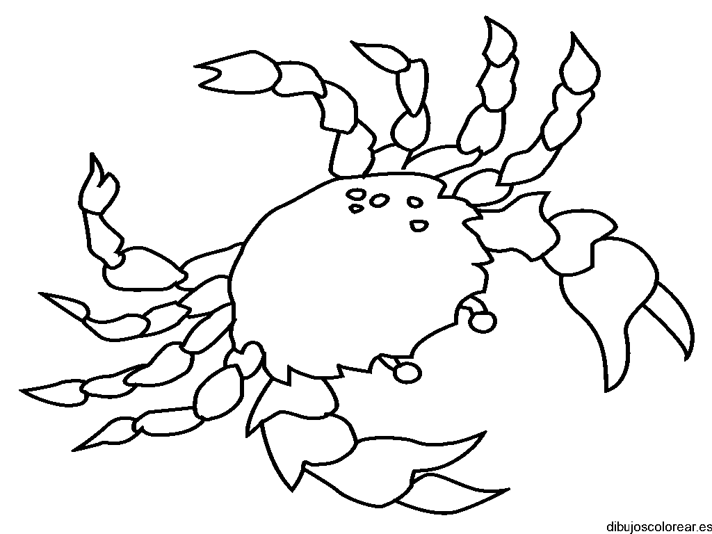 Dibujo de un cangrejo