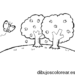 Dibujo de dos árboles y una mariposa