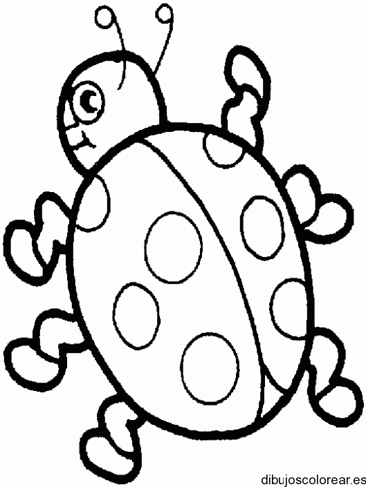 Dibujo de una mariquita pequeña