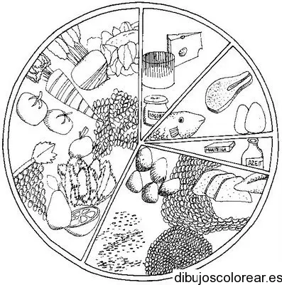 Dibujo de una rueda de los alimentos